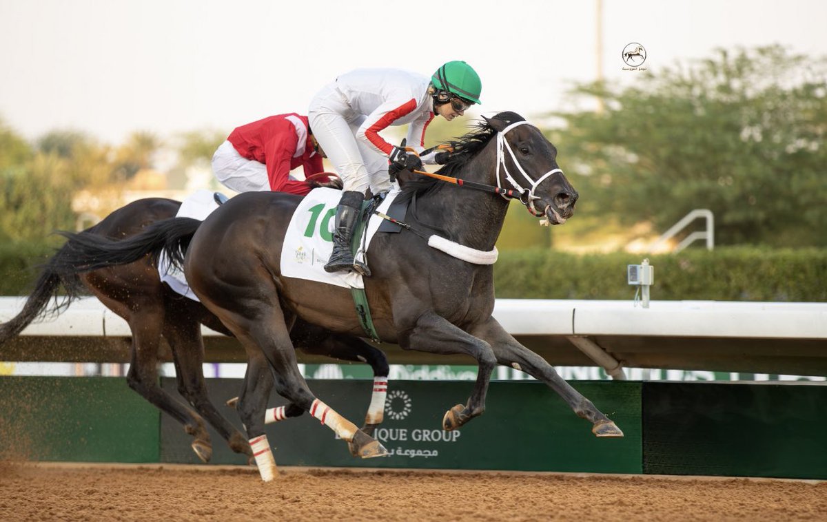 يُونس بنّ علي آل نمر🐎. tweet media