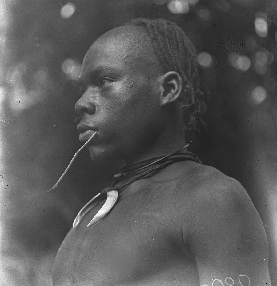 Ólú ndị Igbo tweet media