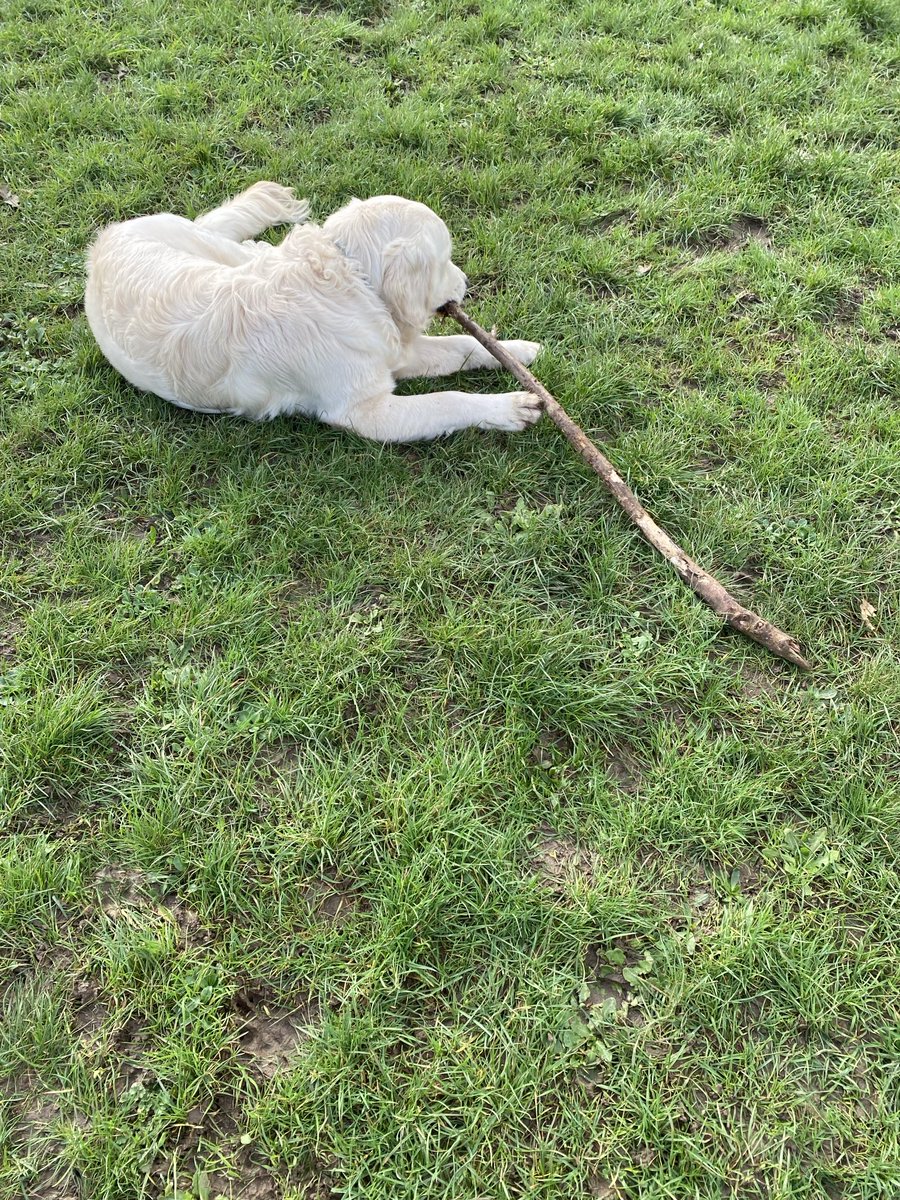 Bane, that is too big!