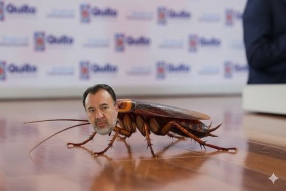 VAN A EXIGIR Q LOS GADS GASTEN DINERO EN MÁS OBRAS.!!
Enseguida la cucaracha #Muñoz:
- Vamos a cerrar instituciones públicas.
- Vamos a subir el pasaje del #Metro a $2 dólares
- Vamos a cerrar los 60 y piquito
- Vamos a subir impuestos
- Vamos a dejar de pavimentar.
INEPTO DE 💩