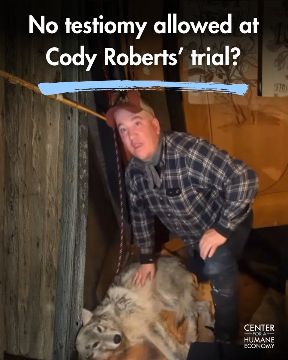 Center for a Humane Economy tweet media