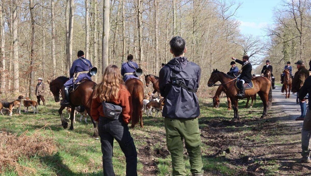 "Un cap a été franchi" : des militants de la cause animale agressés en forêt d'Orléans en marge d'une chasse à courre
➡️ l.ici.fr/XiuQ