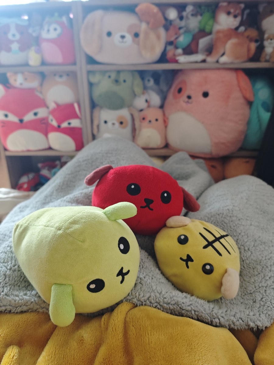 souna applefox (@kasouna) on Twitter photo 