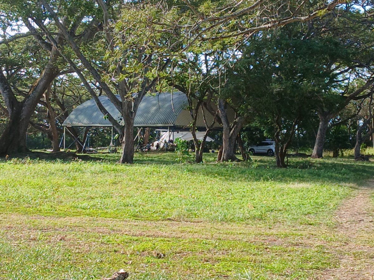 FUNDACION EL CAÑO-CIAI tweet media