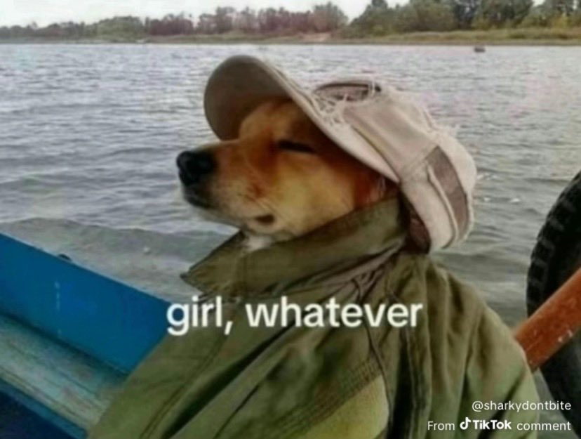 Des DeVooght tweet media