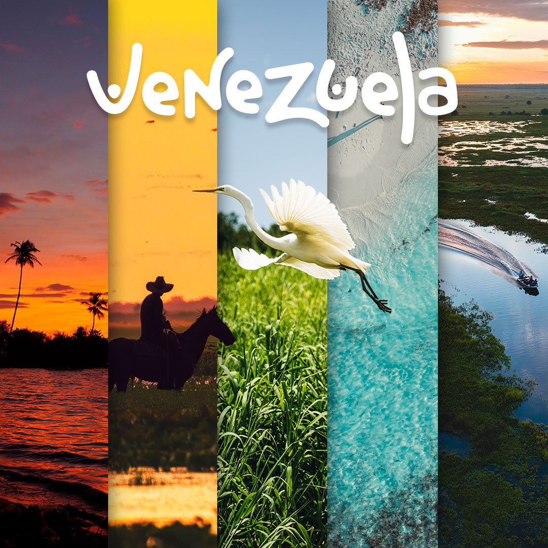 Marca País Venezuela tweet media