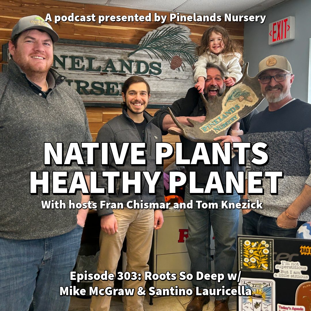 Pinelands Nursery tweet media