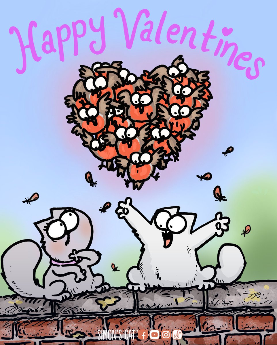 Simon's Cat 🐾 tweet media