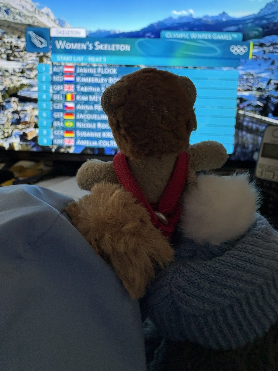 Dinos, Tortoise, Duffy & more 📯 🐻🦕🐢 🇪🇺🇳🇿 tweet media