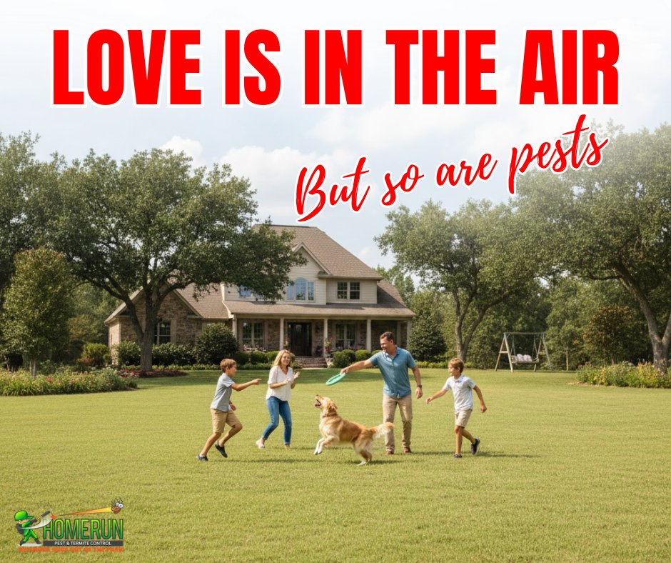 HomeRunPest's tweet photo. ❤️ This Valentine’s, show your home some love by keeping ants, spiders, rodents &amp; other pests out for good. A pest-free home means more comfort and peace of mind.

Fall back in love with your space. 

👉 Get your free quote today: https://t.co/S3Im0riage https://t.co/orJUPNyB55