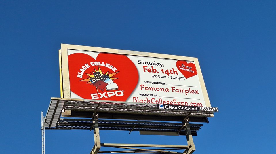 Wilkins Media tweet media