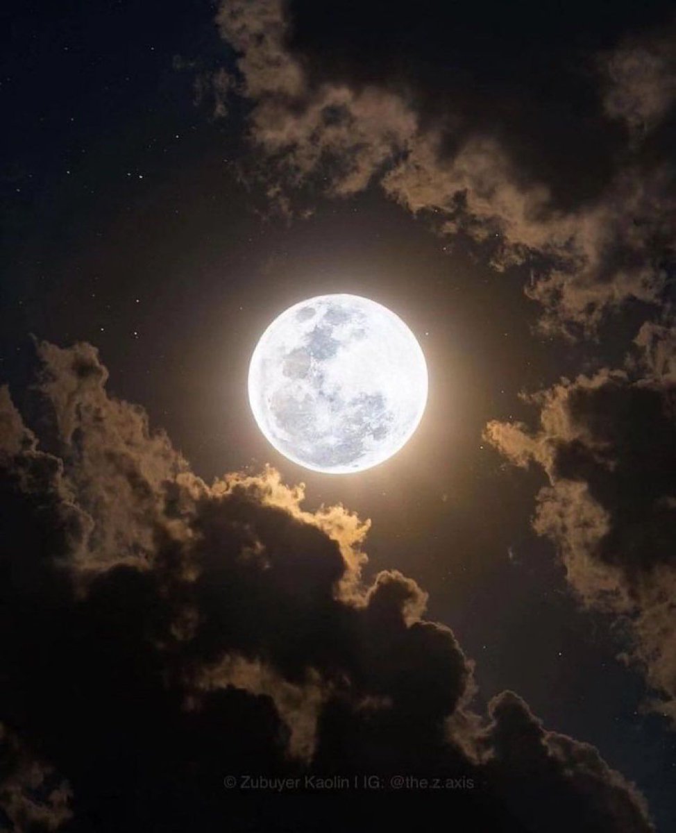 Aesthetics tweet media