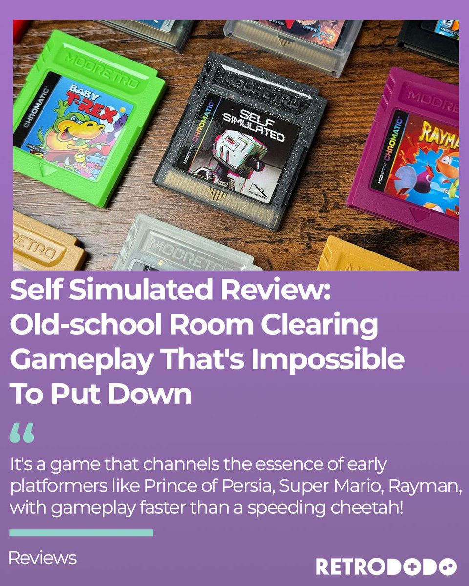 Retro Dodo tweet media