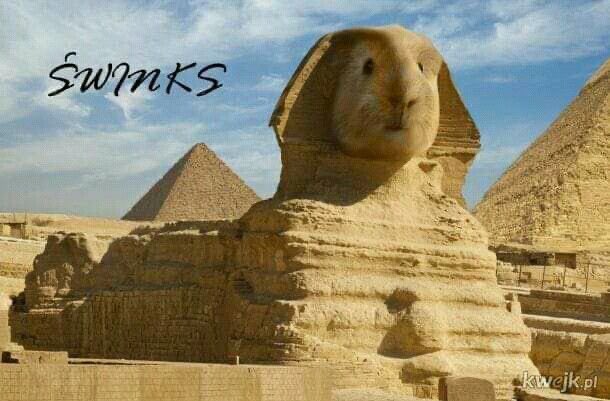 쭉이 (@wakkii9) on Twitter photo 