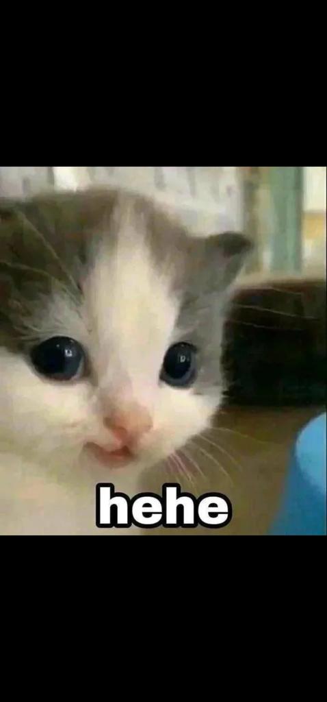tikey666's tweet photo. @Bogy_94 @nevergonehu https://t.co/kBGOfX2leo
