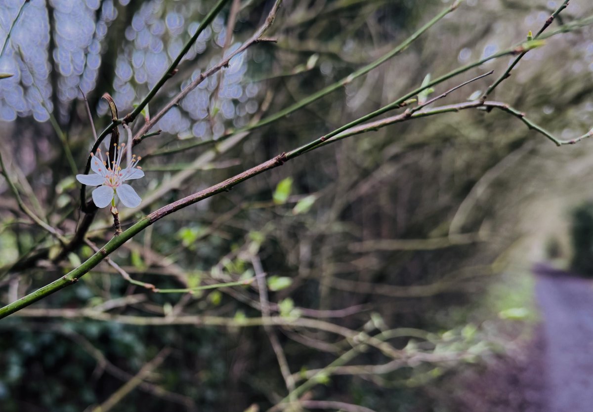 Judith Barnard tweet media