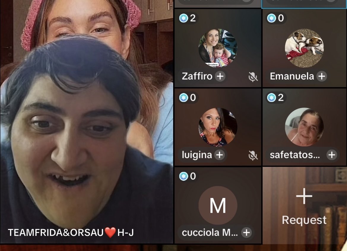 Ma io cosa ho fatto di male in questa vita 😂😅che ogni volta che apro tiktok trovo queste disagiate,sdentate e nullafacente in live ,ma vuoi vi rendete conto che a volte litighiamo con queste😂👽#heleviers #heleners #zelena #shailenzo #zeudiners
