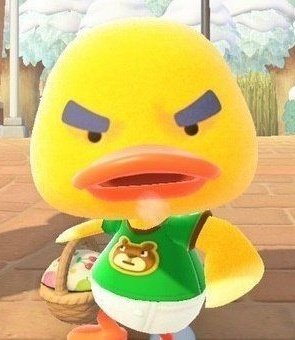 jonghoithoit's tweet image. 내가 사람을 보고 있는 건지 말랑이들을 보고 있는 건지