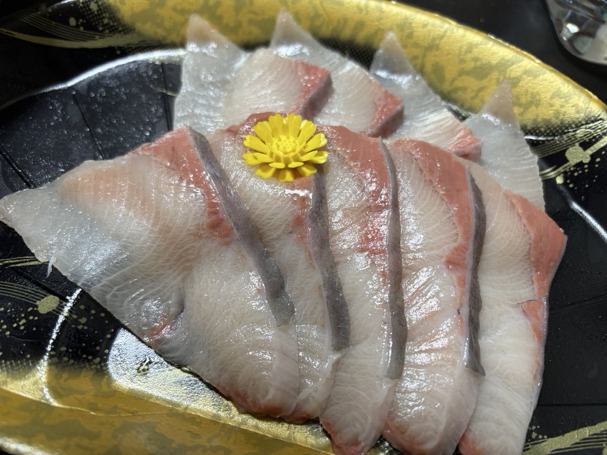 OGT2397's tweet photo. チョコが嫌いで魚を愛しているオスの為のﾊﾞﾚﾝﾀｲﾝ https://t.co/wuUEA38TC0