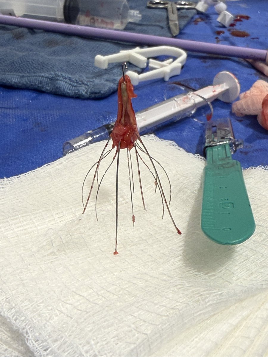 Venkat Tummala MD MBA tweet media