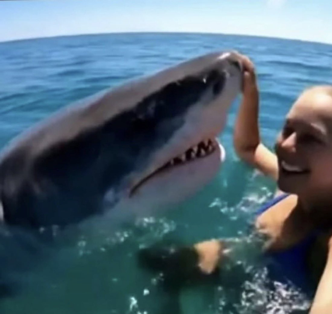 du bekommst eine delphintherapie verschrieben bist aber kassenpatient: