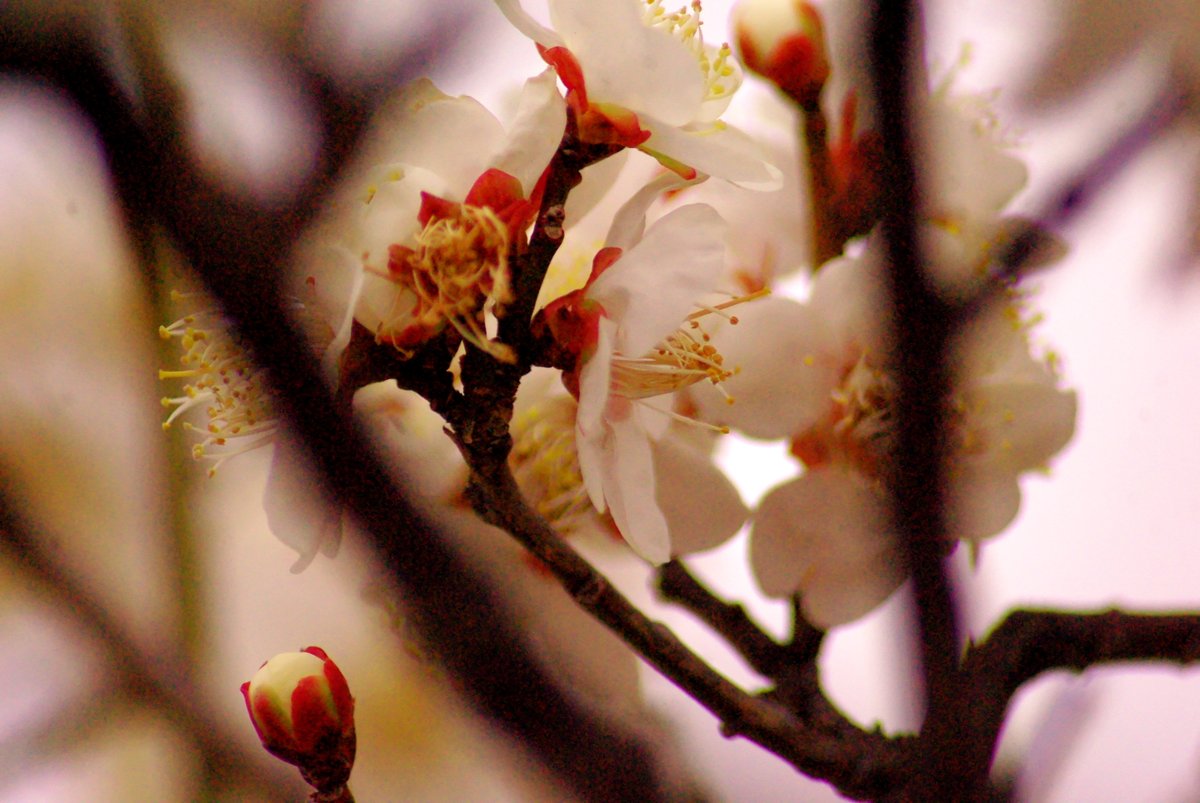 TodoactionJB's tweet image. Threw this pic up a year ago. 
PENTAX k-m &amp;amp; sigma 70-300mm  
#streetphotography #km #throwback 9