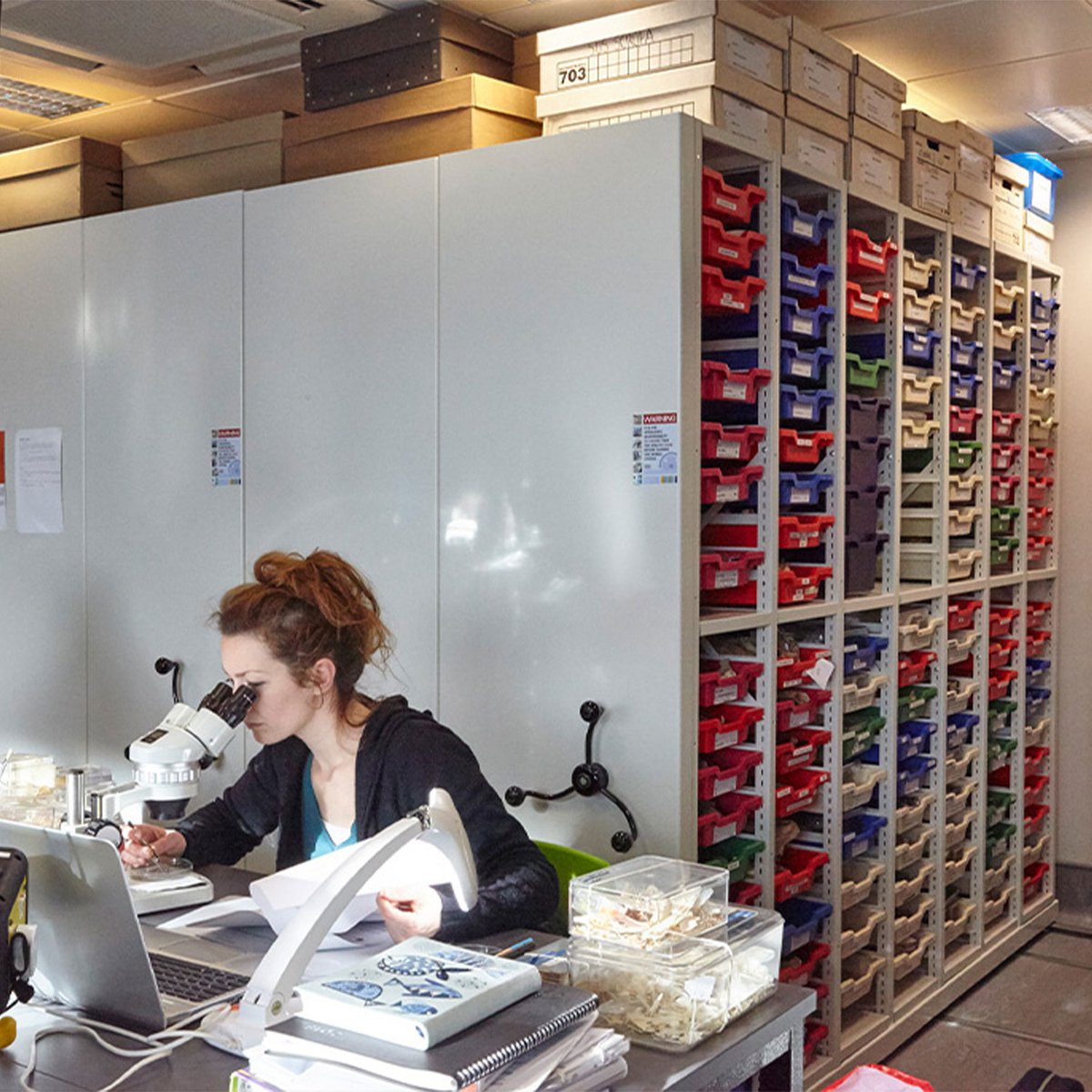 Rackline's tweet image. Education Providers - With half term now upon us, could now be the perfect time to maximise your space? 

rackline.com/sectors/educat…

#education #highereducation #spacesaving #school #college