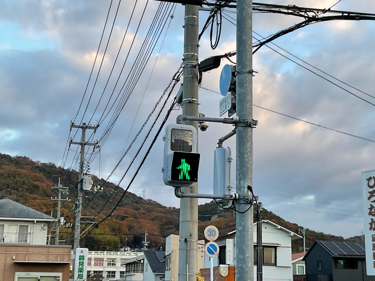 めずらしい信号機あつめるのたのしい〜(๑>