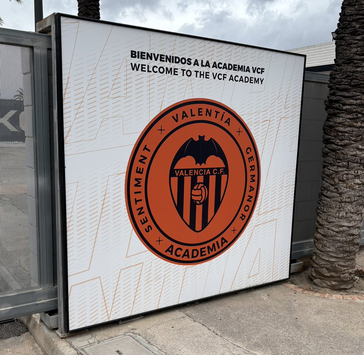 Create College tweet media