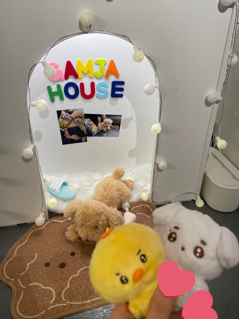 _pyeongkang's tweet photo. 첫째님 생일 추카합니다♡ 

#Happy_Haeri_Day
#영원히_해처럼_빛나리 https://t.co/A5ytdKTKJS