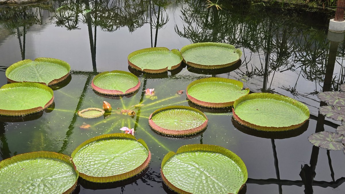 𝐎𝐏𝐄𝐍𓂃 ◌𓈒𓋪
きりたにちゃんと一緒にいるよう‼️
今日も夜中までおるから絶対にみんな来てねん♾️😻✨✨✨