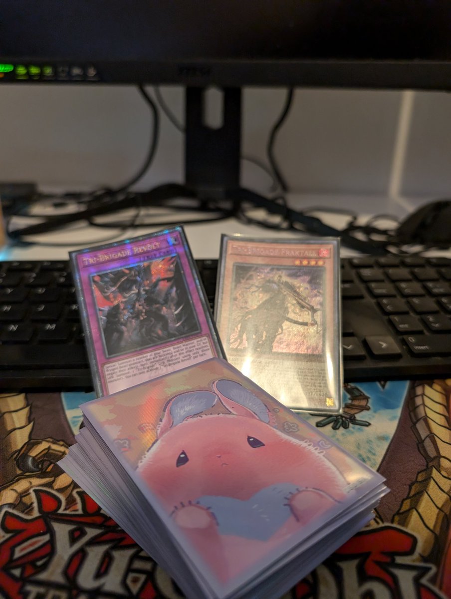 Gabriel Netz tweet media