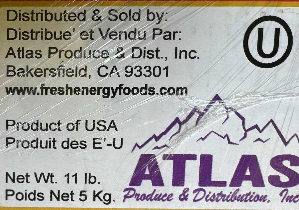 د.رضا بخش dr.bakhsh tweet media