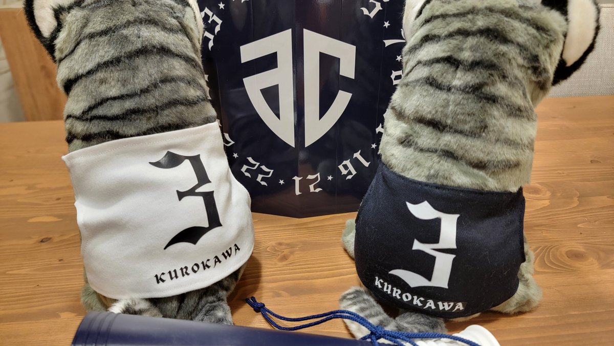 FAltiri62330's tweet photo. なんか、ホームの虎徹🐯ユニ作ったらアウェイも欲しくなり😂　作ったからにはアウェイも応援に行くぞ～！😆(シフト合いますように👼　#アルティーリ千葉　#黒川虎徹 https://t.co/sgsErGJDRb