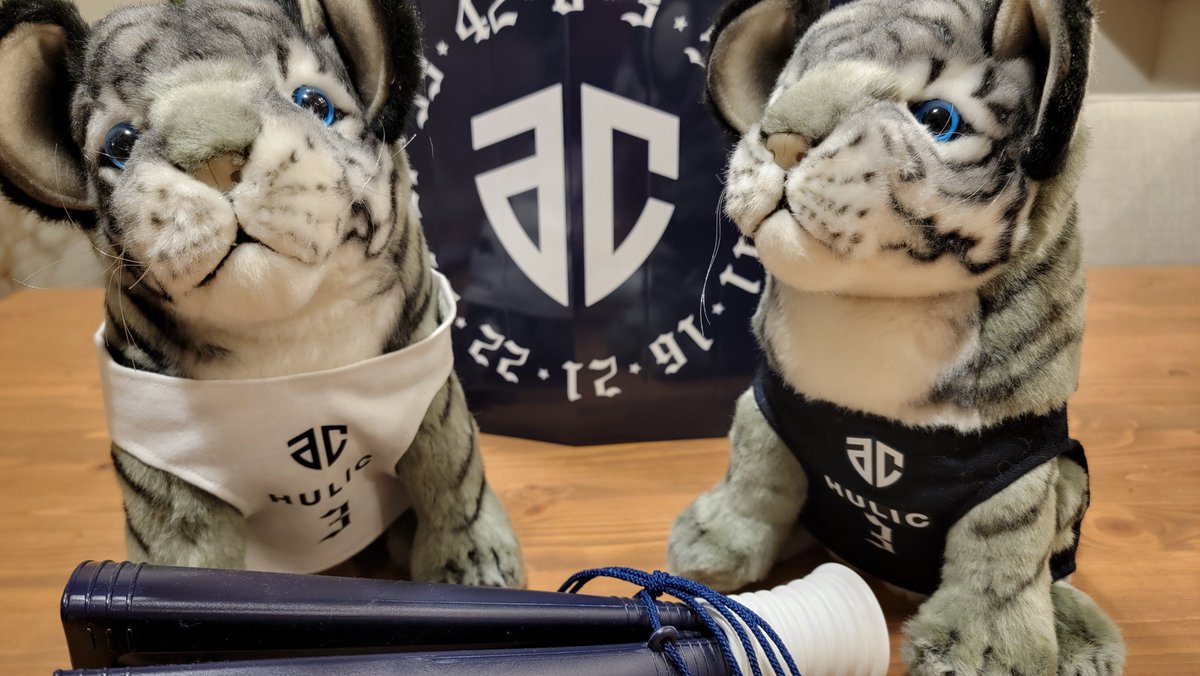 FAltiri62330's tweet photo. なんか、ホームの虎徹🐯ユニ作ったらアウェイも欲しくなり😂　作ったからにはアウェイも応援に行くぞ～！😆(シフト合いますように👼　#アルティーリ千葉　#黒川虎徹 https://t.co/sgsErGJDRb