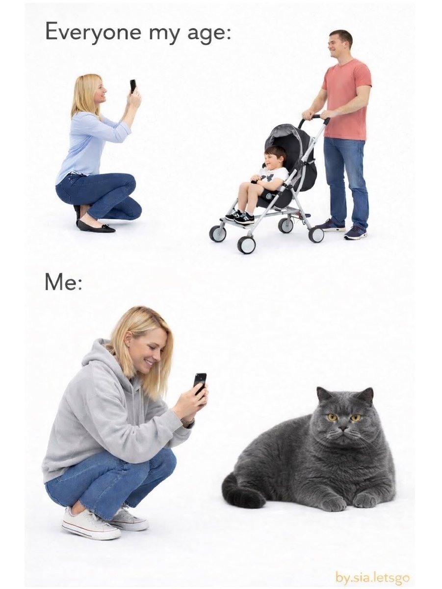 The Cats 𝕏 (@thecatsx) on Twitter photo 