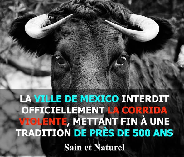 KFranc91's tweet photo. Comme quoi, on peut mettre un terme à une tradition... https://t.co/YIBCadzWME