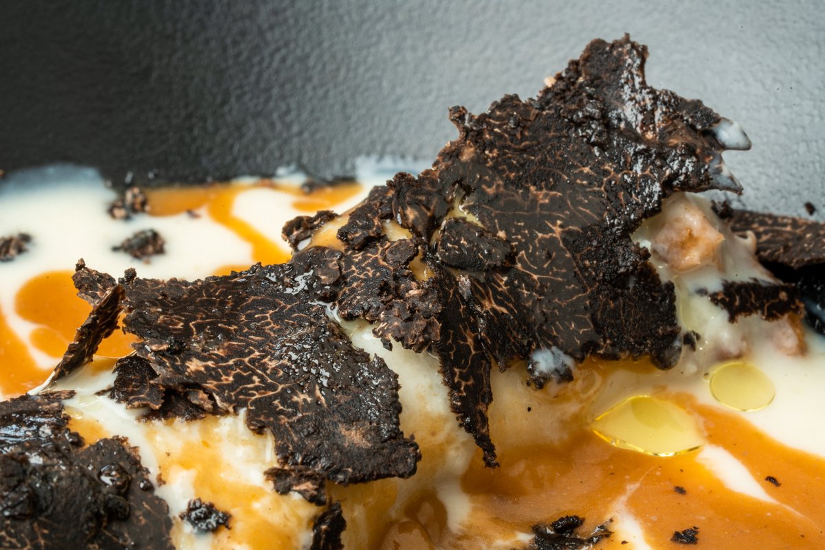 La trufa negra es mucho más que un ingrediente; es cultura, tradición y territorio. En Soria puedes descubrirla en su origen y disfrutarla en la mesa como en pocos lugares del mundo. ¿Quieres un ejemplo? Este canelón de carrillera trufado de casa Arévalo.
#SoriayTrufa