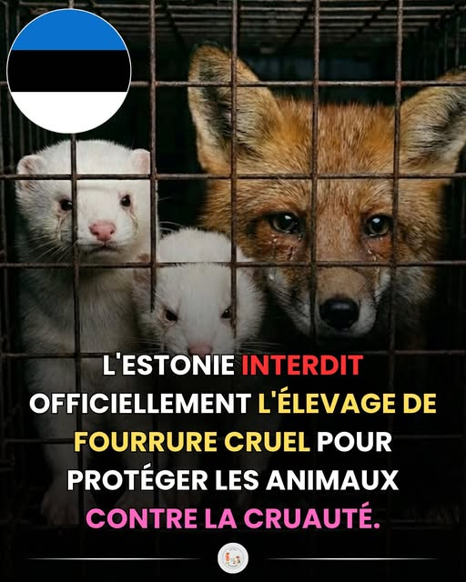 FR-91 (@kfranc91) on Twitter photo 