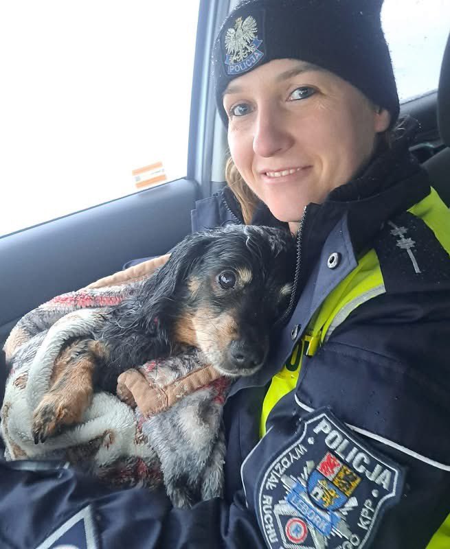 Wczoraj po godzinie 15:00 w Siemirowicach (gmina Cewice), w czasie intensywnych opadów śniegu, kierujący Skodą mieszkaniec powiatu kartuskiego potrącił psa 🚗💥🐕, który wbiegł prosto pod jego auto. Ranne zwierzę uciekło w kierunku najbliższej posesji. 👉Mężczyzna nie odjechał. W