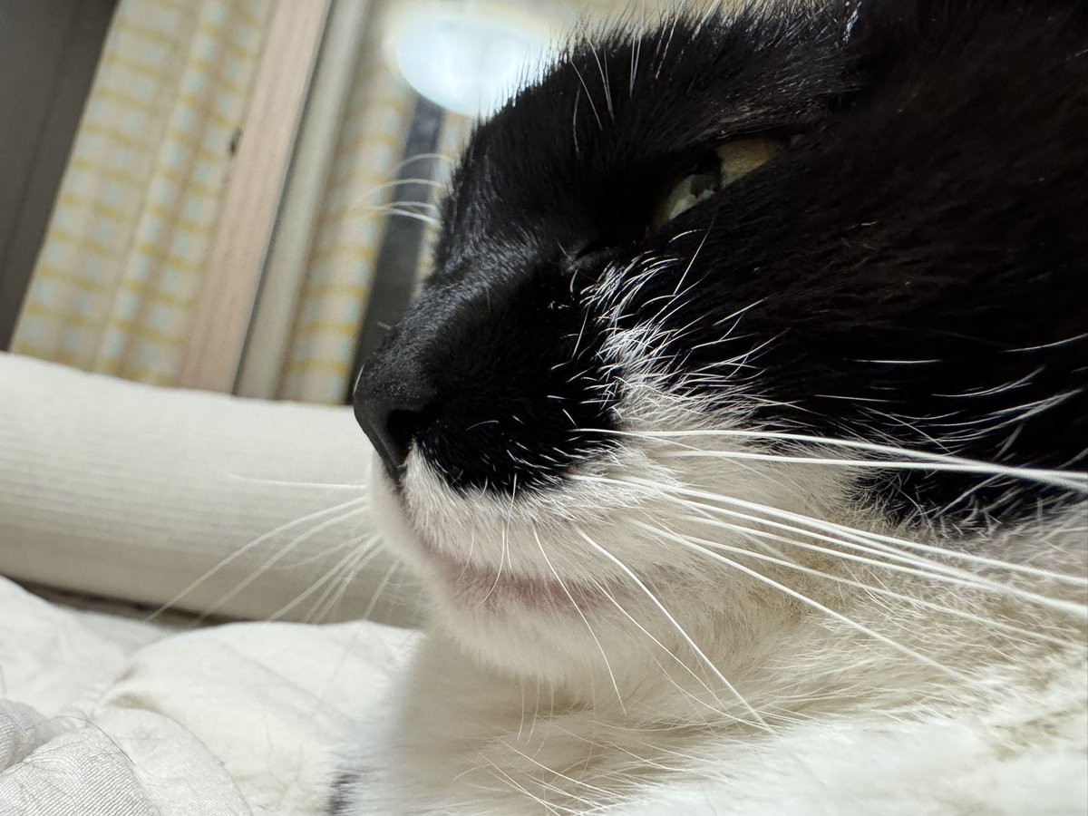 각도에 따라 다른 매력이 있는 동민지