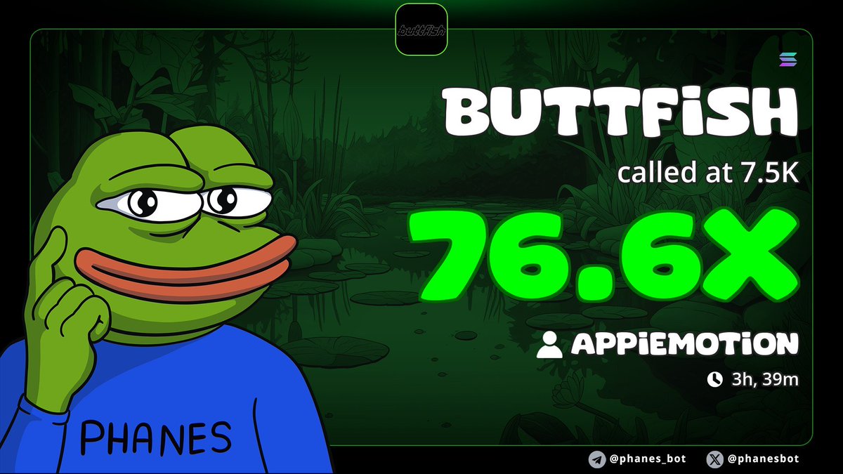 Robertico tweet media