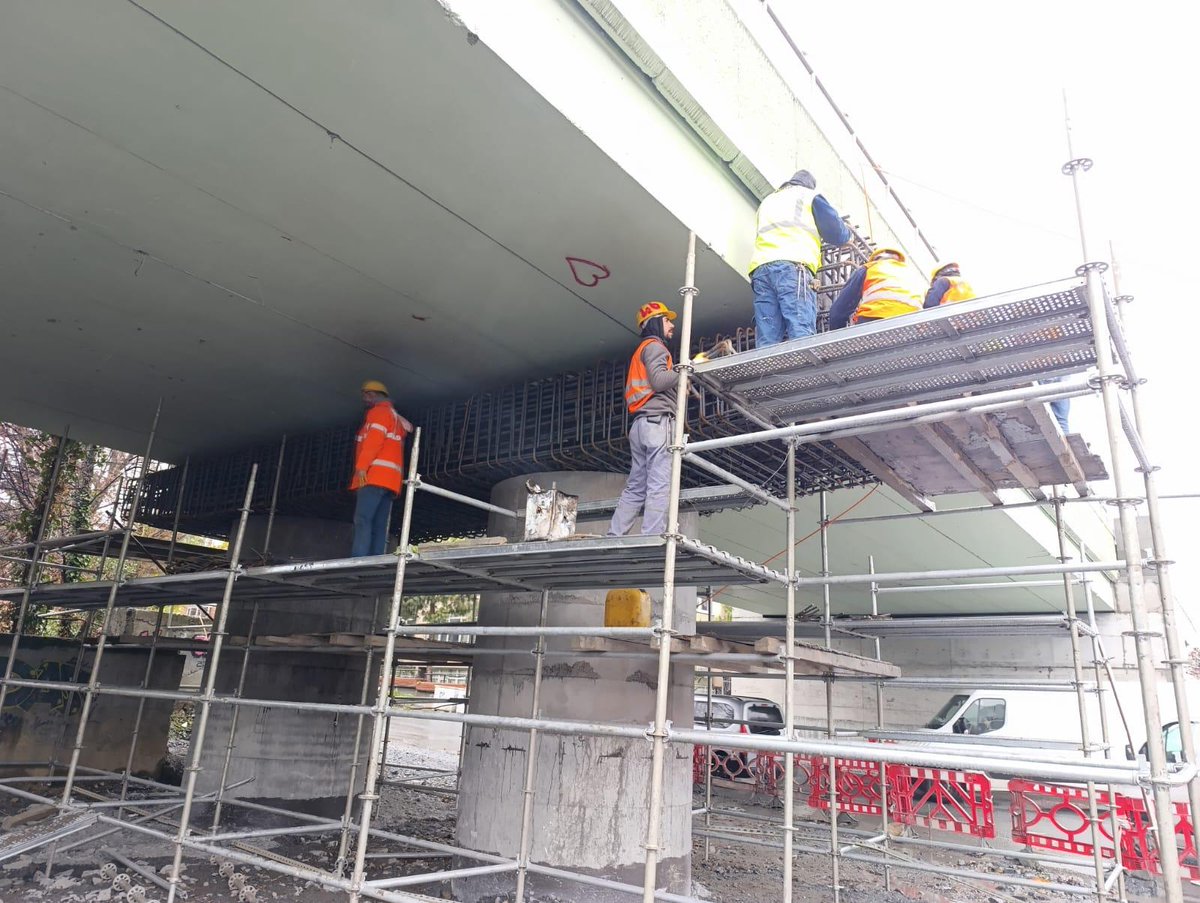 Doç. Dr. Pelin Alpkökin tweet media