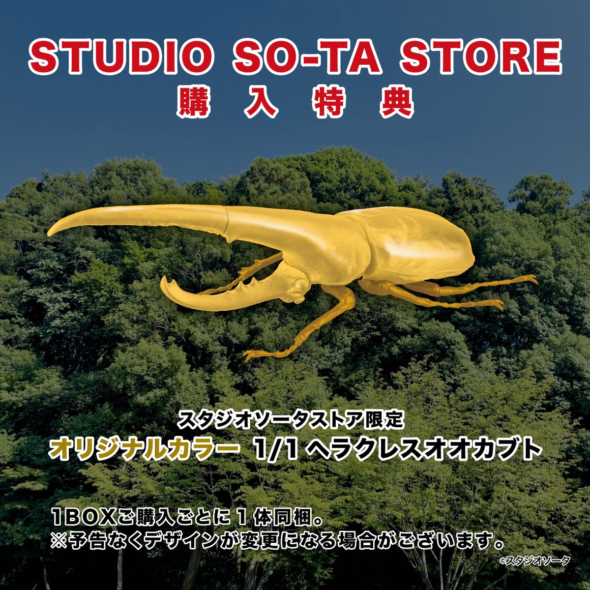 🆕🔍✨2026年5月発売商品✨🪵🆕 📣大好評ご予約受付中！ 「1/1