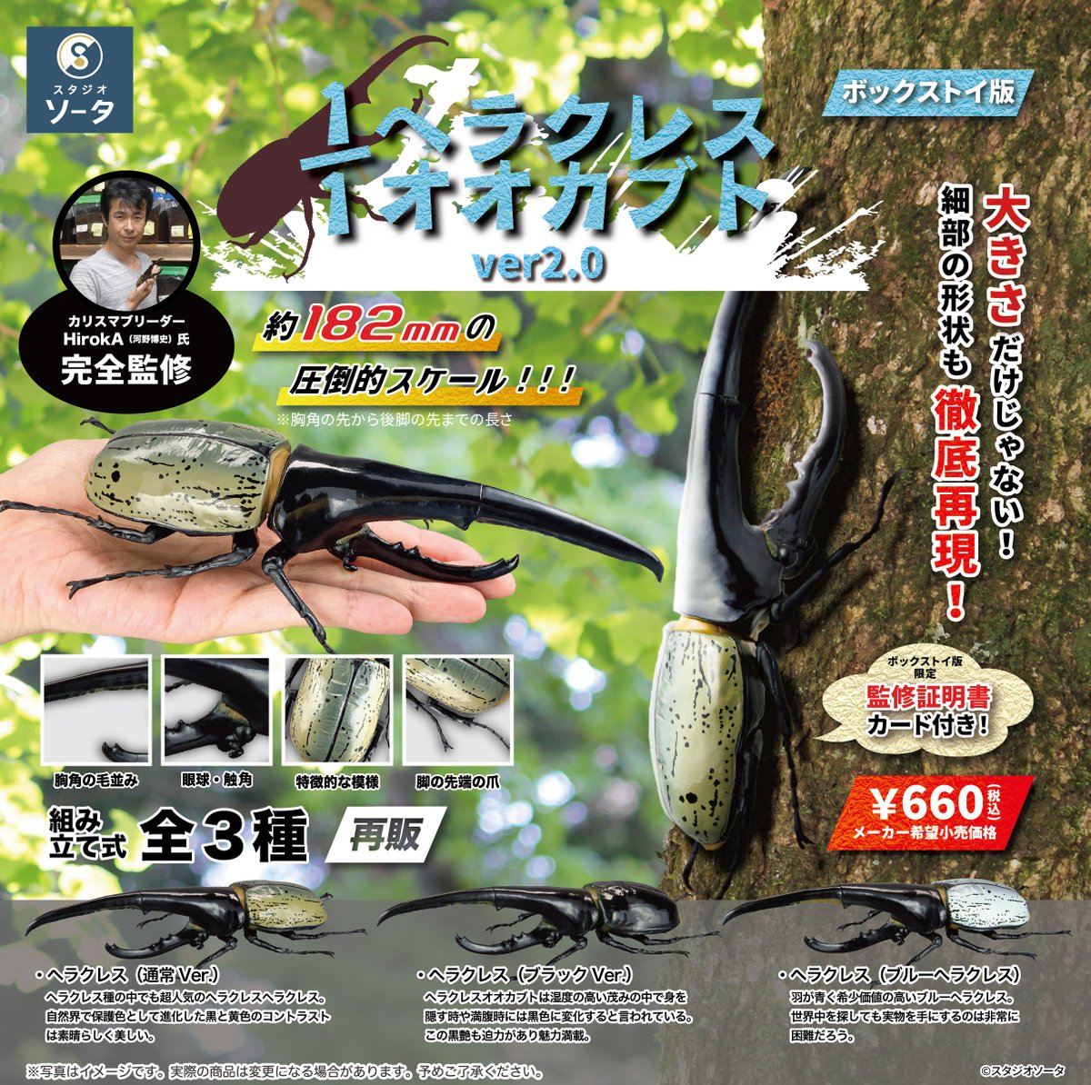 🆕🔍✨2026年5月発売商品✨🪵🆕 📣大好評ご予約受付中！ 「1/1