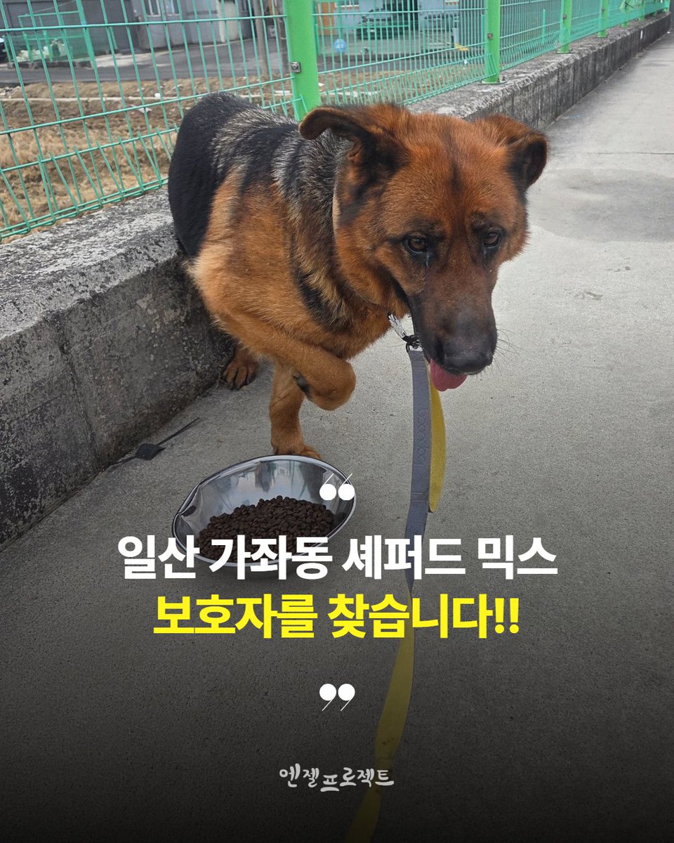 눈누난나❤(사)엔젤프로젝트 tweet media