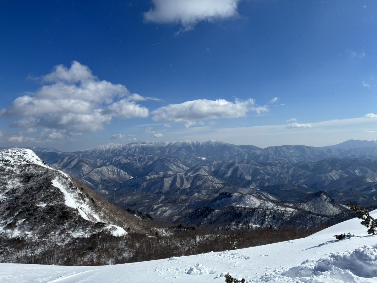 yi528 tweet picture