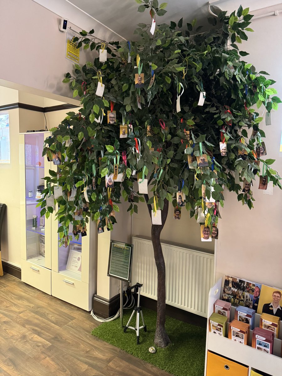 chiro_lowestoft's tweet image. People often ask about the tree with all the photos on in our front of house. It’s our wellbeing tree and features clients who are part of our family wellbeing community, enjoying the benefits of coming to stay well rather than waiting for pain. #tblowestoft #wellness #painfree