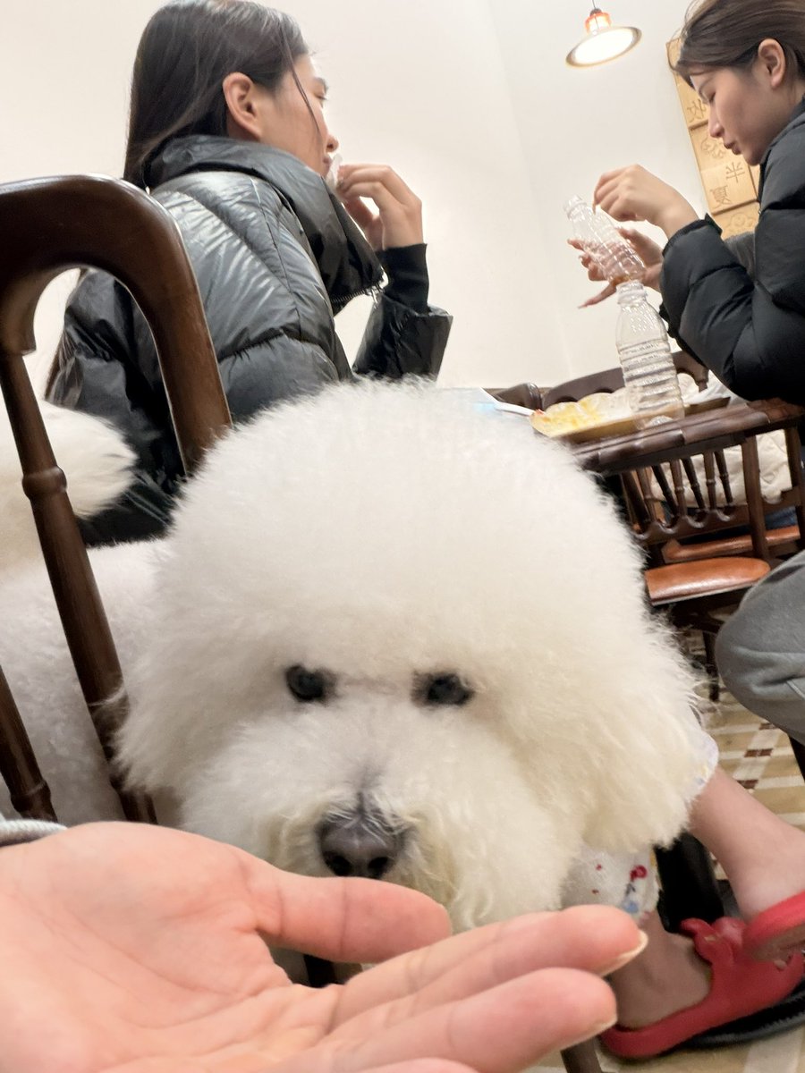somethingforox's tweet photo. 不知不觉又一年 https://t.co/xJIADUO5wK