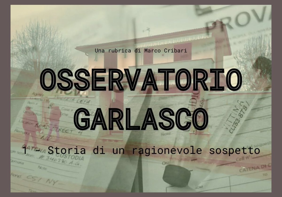 Selvaggia Lucarelli tweet media